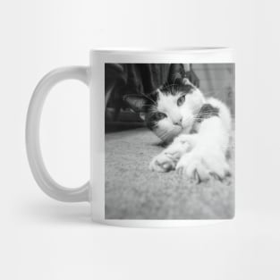 Will you play with me? Mug